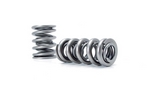 Dual Valve Spring, .675" LIFT 1.290"OD